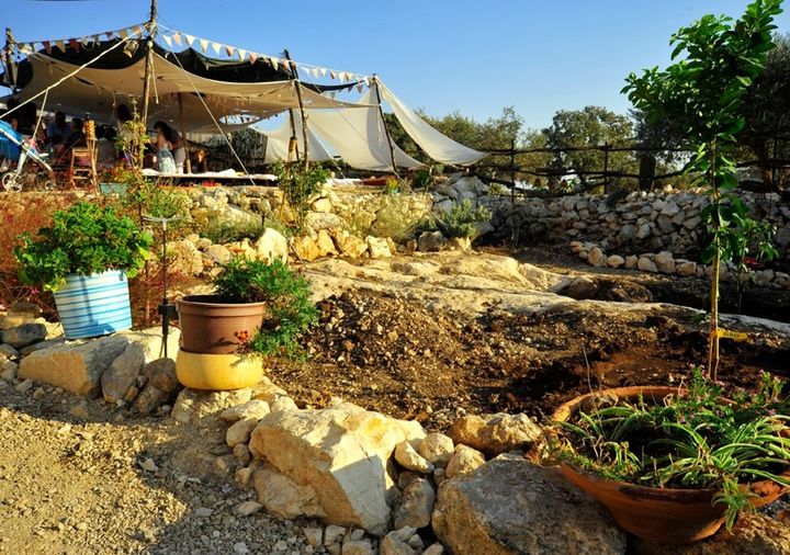 Just tend the garden and feed the animals to earn your very own tipi tent in this green heaven located North of Israel between a National Park and a Natural Reserve. 