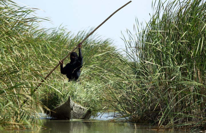 An Iraqi woman collects grass with a canoe in the Chibayish marshes near the southern Iraqi city of Nasiriyah on June 25, 2015.