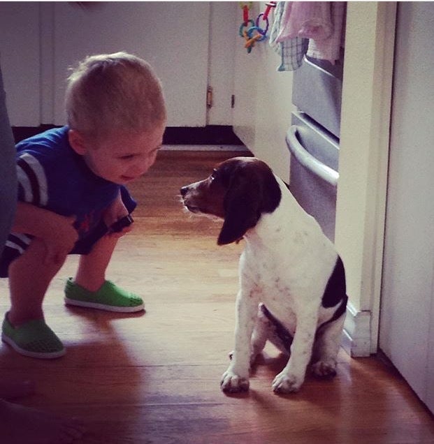 "Give a boy a dog and you've furnished him a playmate."- <em>Berton Braley</em>