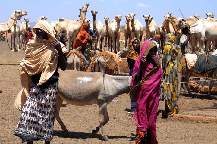 Farmers in Isiolo have been struggling to keep their businesses alive as the cows and goats they rely on are dying in Kenya’s increasingly long and fierce droughts.