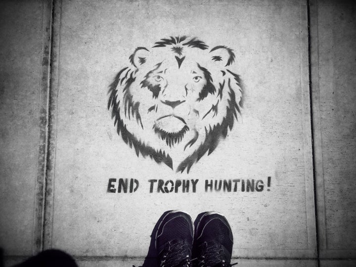 A stenciled sign protesting trophy hunting is seen on the streets of Santa Barbara, California, several months after Cecil the lion was killed.