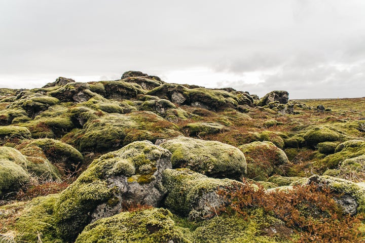 LAKI LAVA FIELDS