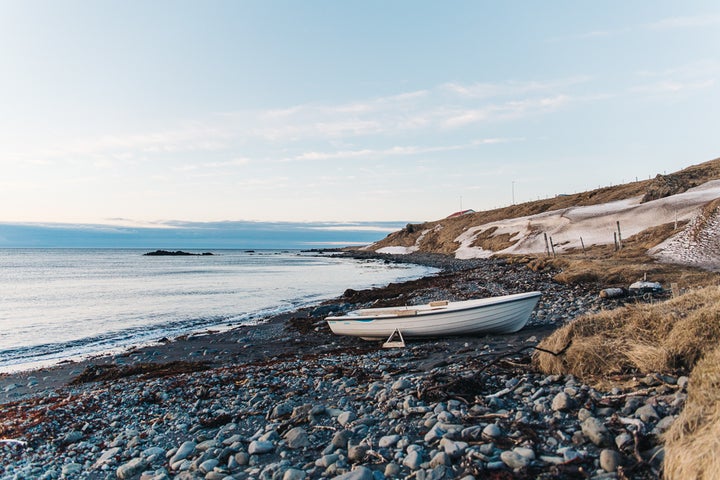 LOOKING FOR SEALS IN HVAMMSTANGI