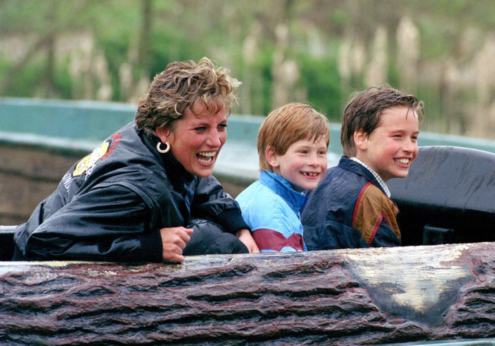 Princess Diana, Prince Harry and Prince William in 1993.