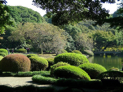 Tokyo Shinjuku Gyoen National Garden