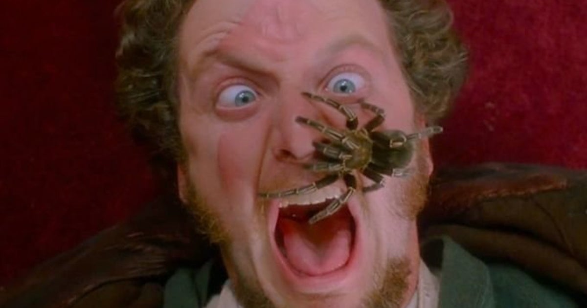 This 'Home Alone' Reunion Will Have You Buggin' Out | HuffPost ...