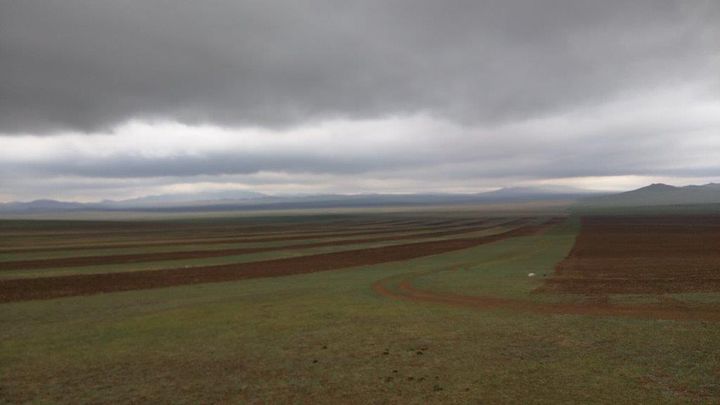 Grain fields recede into the distant horizon