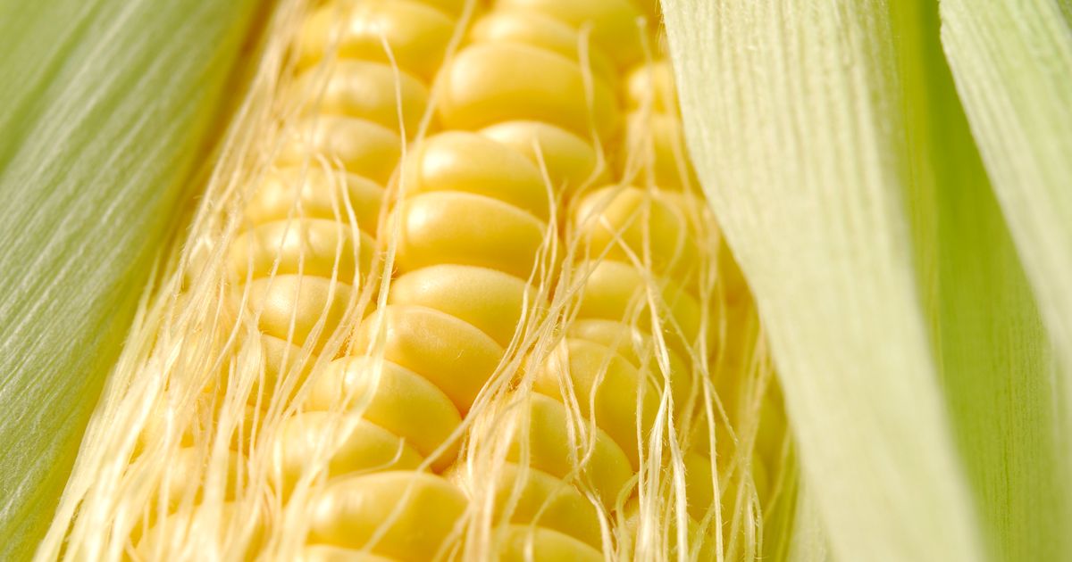Corn Silk Has A Way Cooler Purpose Than You Ever Realized