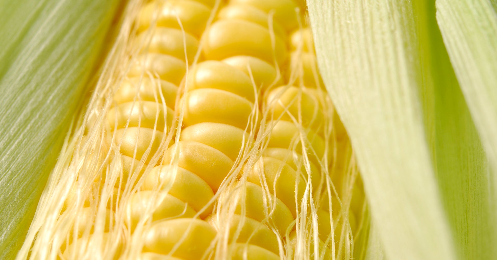 Corn Silk Has A Way Cooler Purpose Than You Ever Realized HuffPost