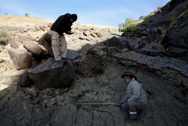 Paleontologist Sebastian Apesteguia (right) measures the footprint