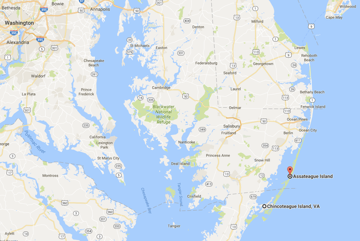 Assateague Island is about 140 miles southeast of Washington, D.C. and lies partly in Maryland and partly in Virginia.