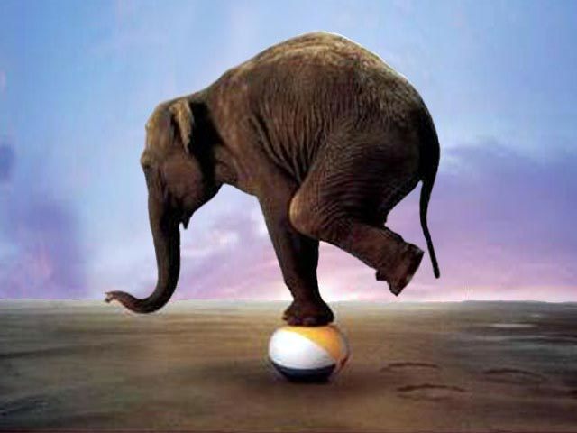 Large organizations have a hard time gaining stability today, don't they?