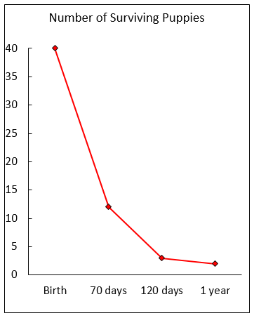 Number of surviving puppies among Italian street dogs.