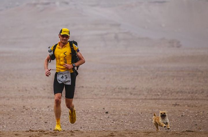 Gobi runs at Leonard's side during the 155 mile-long race