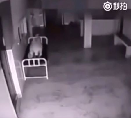 The footage is apparently from a hospital in China 