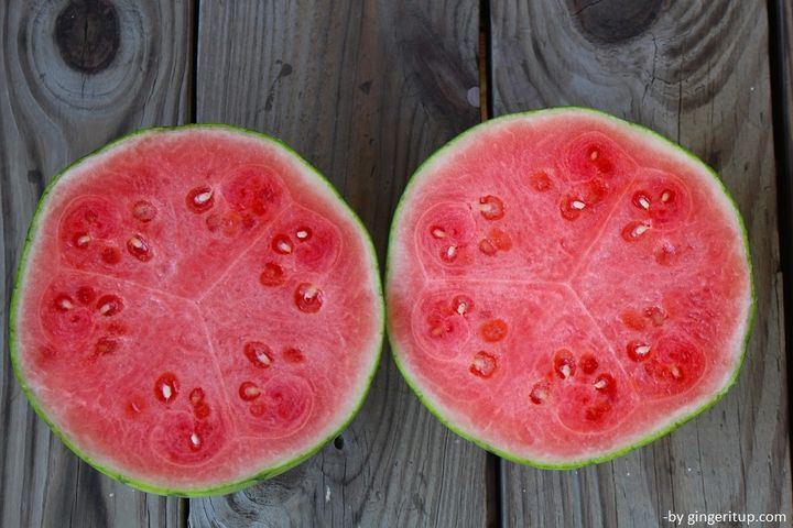 Watermelon Pink Lemonade Cooler