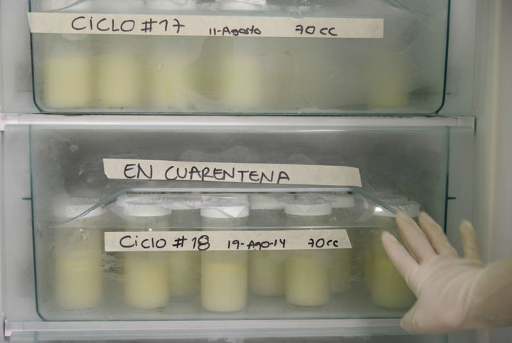 Milk bottles are pasteurized during the first day of donation of human milk at Medellín's General hospital on August 2