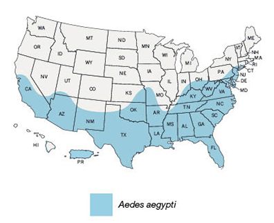 The estimated range of the Aedes aegypti mosquito population in the U.S.