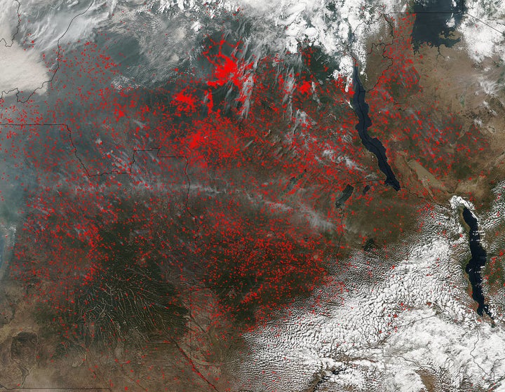 "NASA’s Suomi NPP satellite detected thousands of fires burning in central Africa on July 11, 2016. The fires are represented by the multitudes of red dots. Most of the fires burn in grass or cropland." -- NASA