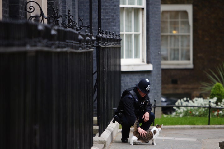 <strong>Larry The Cat is consoled by a policeman after learning he was not awarded an OBE</strong>