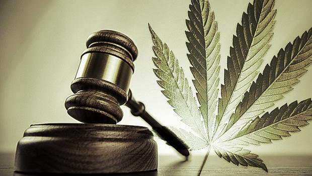 Steven Machat's crusade to legalize marijuana