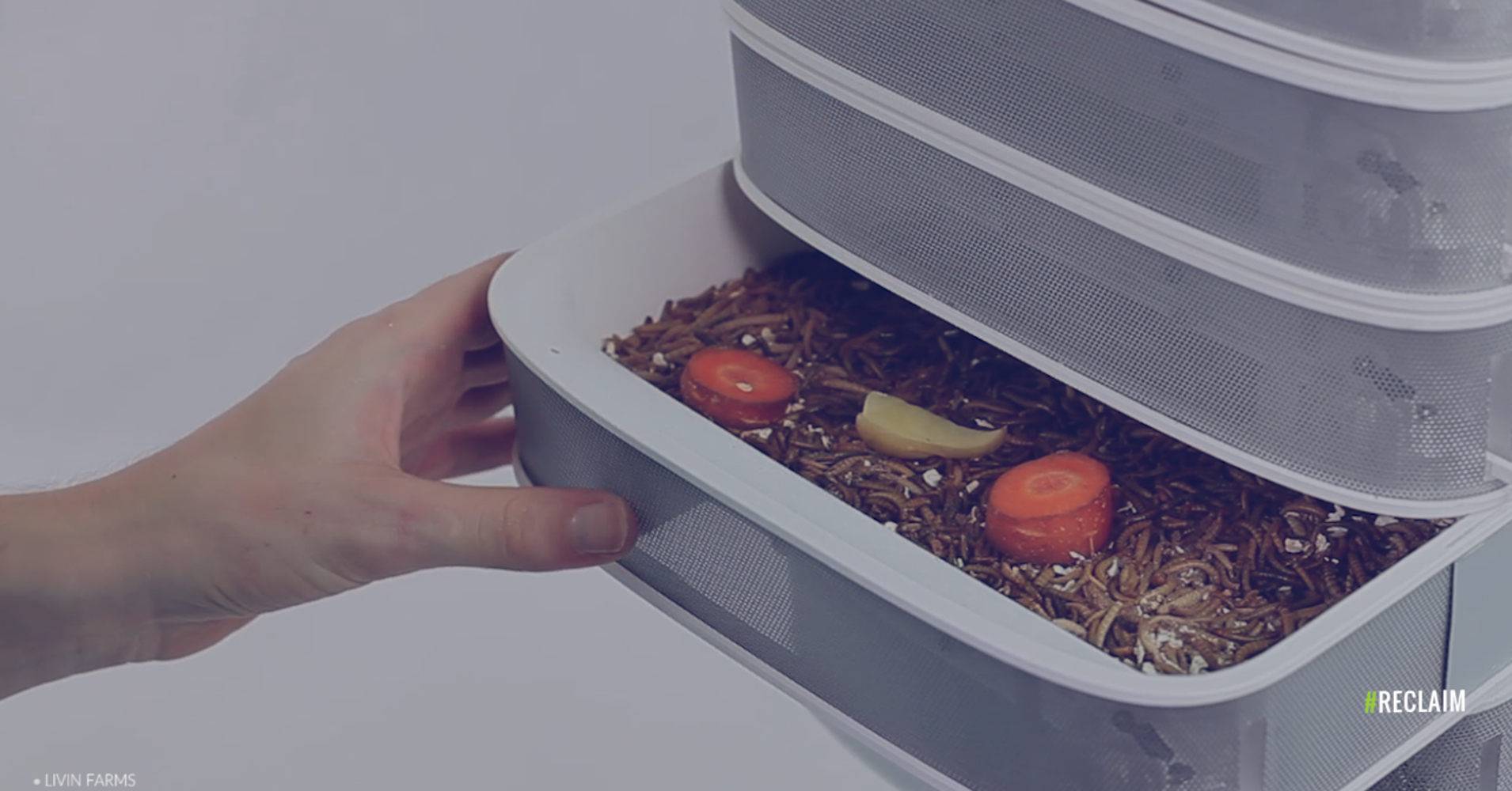 This Worm Hive Lets You Grow Your Own Protein HuffPost