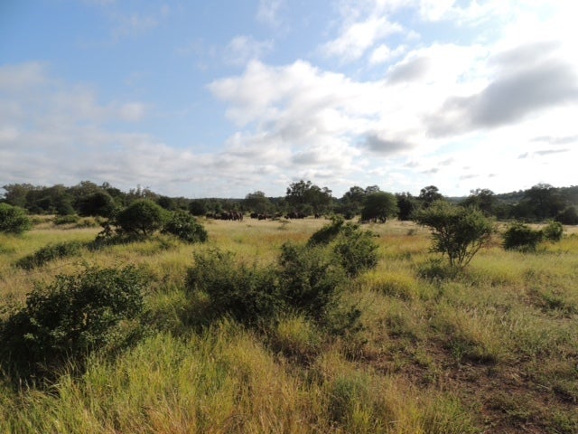 The Kapama Game Reserve covers over 30,000 acres