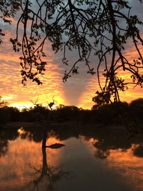 Camp Jubulani at sunset