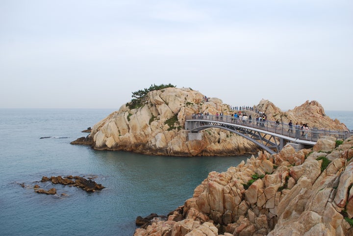 <p><strong>Daewangam Songnim | </strong>A different way of enjoying the East Sea is to head down to Ulsan (or up, if you’re already in Busan) and walk along Ilsan Beach into Daewangam Songnim, a pine forest spread across a small coastal area. Walk through the trees towards the lighthouse and then cross the bridge to get some really stunning views. If you’re lucky, you might spot one of the stray cats roaming through the terrain. </p>