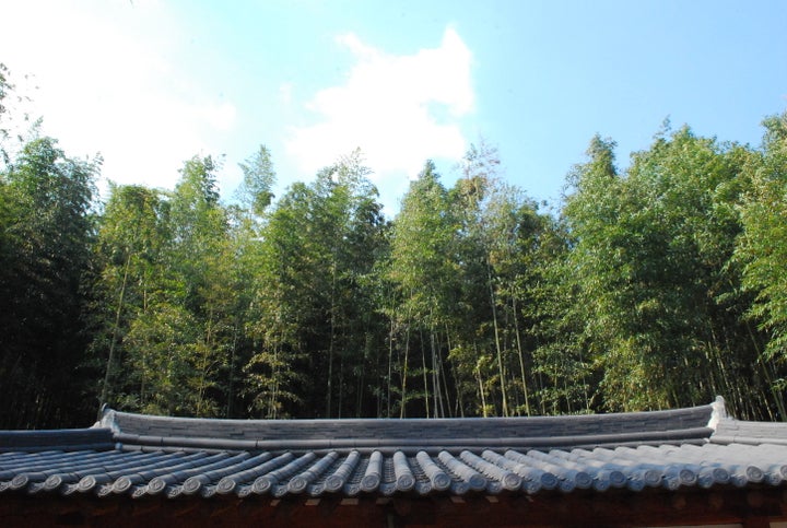 <p><strong>Damyang’s Bamboo Forest | </strong>For a truly relaxing experience, spend an afternoon walking around Juknokwon among all the bamboo trees. Grab a bamboo nutella ice cream while you’re at it! There’s something utterly peaceful to the area, and you can easily get lost for hours.</p>