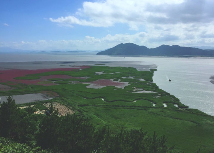 Suncheon Bay | My Korean July is typically spent sweltering underneath an air conditioner unit, hiding from the humidity, but I will make an exception for this eight-thousand-year-old bay. With nearly 6,000 acres of tideland and 570 acres of reeds, Suncheon Bay is perfect to witness virgin Korean nature at its cleanest. Make sure you walk along the reed fields and up around the mountain to get a really gorgeous view!