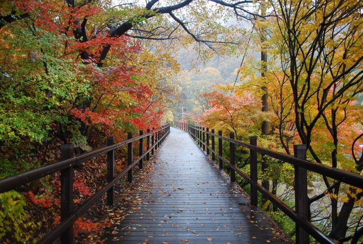 <p><strong>Mt. Naejang (or Naejangsan) | </strong>By far one of the most beautiful places to view autumn leaves, Naejangsan is perfect for a small hike (or, if you’re lazy, a cable car ride *cough*). Everywhere is bursting with gorgeous colors and even in the pouring rain, it’s worth witnessing. You can take a longer hike and enjoy seeing different temples and statues, or, at the very least, head to the observatory to see the surrounding mountain range....<a rel="nofollow" href="http://www.thereshegoesagain.org/naejangsan/" target="_blank">Read More</a></p>