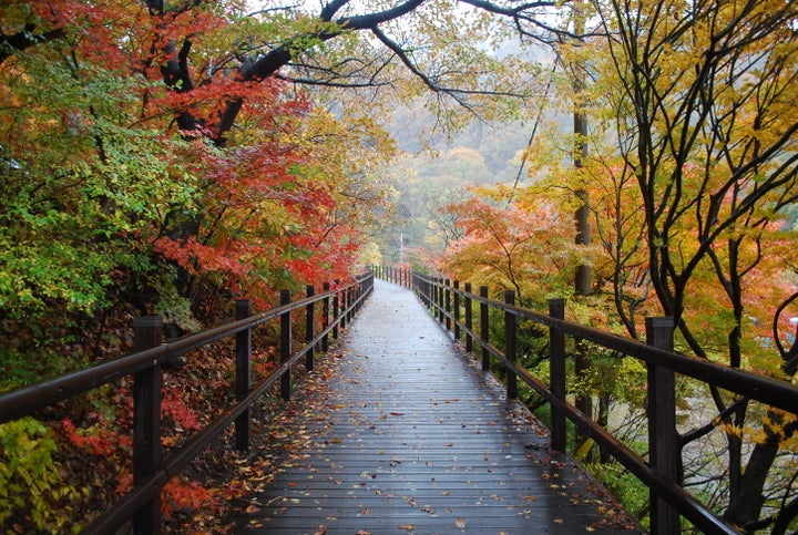 Mt. Naejang (or Naejangsan) | By far one of the most beautiful places to view autumn leaves, Naejangsan is perfect for a small hike (or, if you’re lazy, a cable car ride *cough*). Everywhere is bursting with gorgeous colors and even in the pouring rain, it’s worth witnessing. You can take a longer hike and enjoy seeing different temples and statues, or, at the very least, head to the observatory to see the surrounding mountain range....Read More