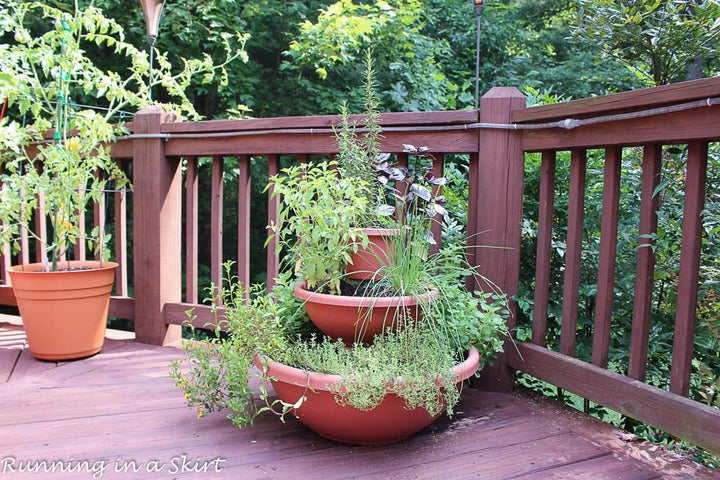 The perfect herb garden for small spaces.