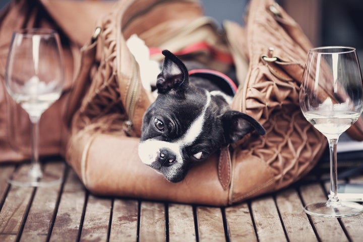 No longer will your pup despair that he doesn't have some wine of his own. 