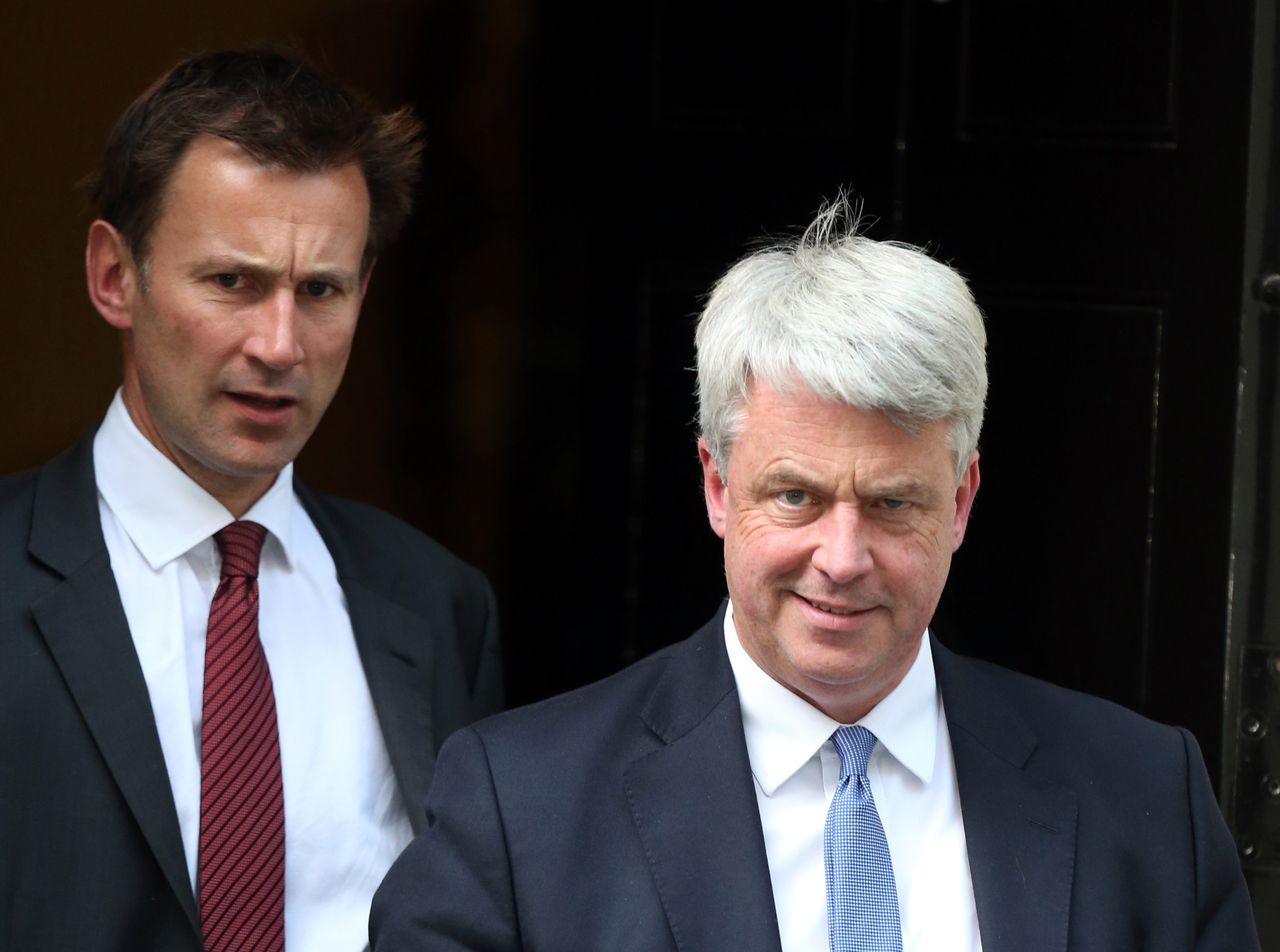 Andrew Lansley, and his successor as Health Secretary, Jeremy Hunt