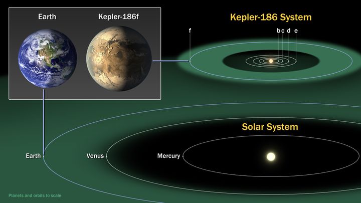 The Kepler-186 system compared with the inner planets of our own solar system. Kepler-186f, an Earth-sized planet in the habitable zone of its host star, is one of the 20 Earth-like exoplanets identified in the new research.