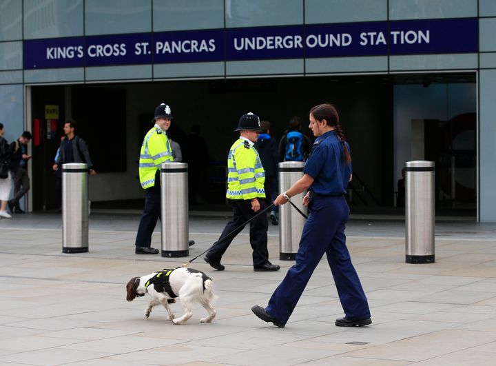 <strong>A police officer and sniffer dog outside King's Cross St Pancras underground station in London.</strong>