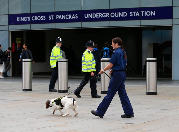 A police officer and sniffer dog outside King's Cross St Pancras underground station in London, after a knife attack in Russell Square.