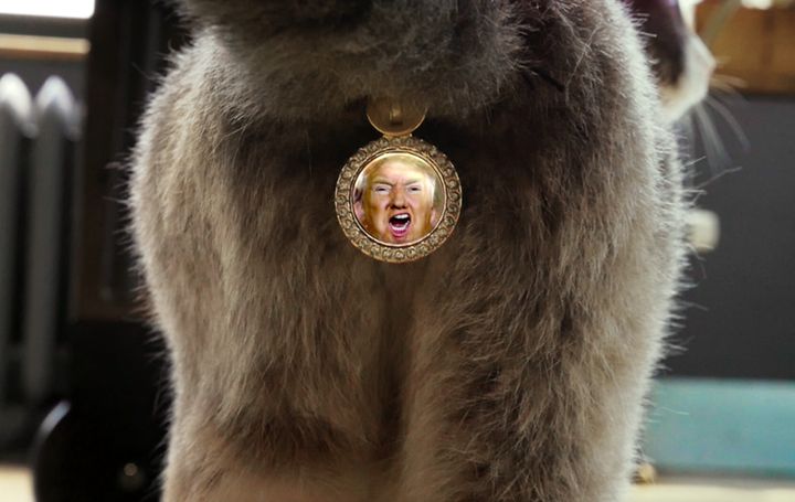Finally Your Cat Can Protest Trump With Butt Jewelry Huffpost