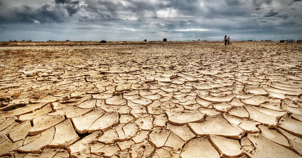 Засуха пришла. Опустынивание. Природные катастрофы засуха. Опустынивание планеты. Истощение природы.