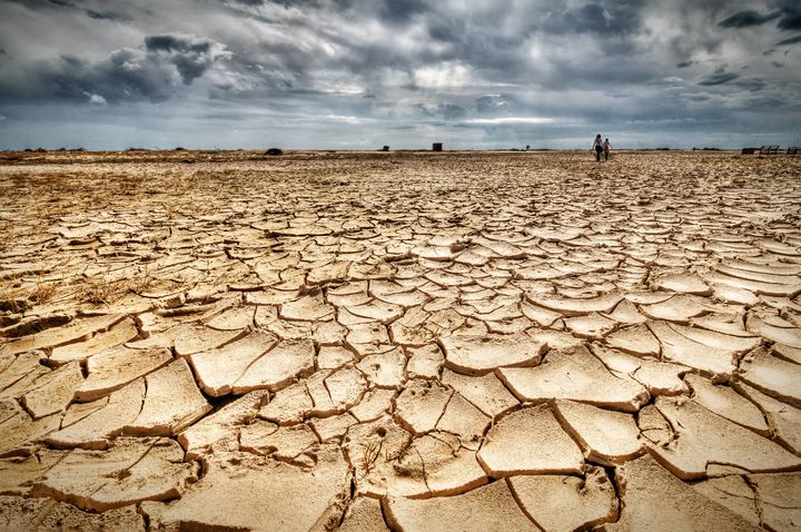 Global warming, deforestation, soil erosion and depletion of water resources are just some of the impacts of accumulating