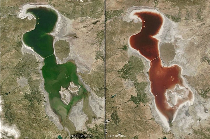 Bloody Transformation: The waters of Lake Urmia changed from green on April 23 to red on July 18, as seen by a NASA satellite.