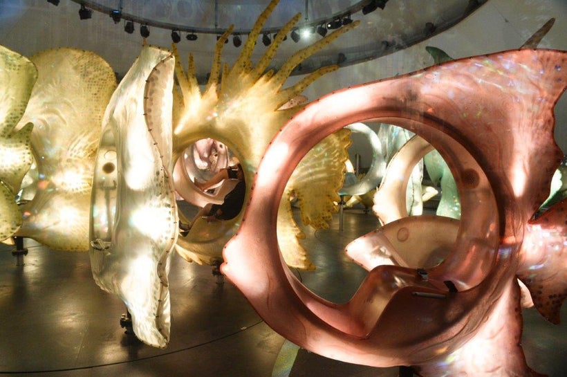 Carousel riders sit in fishes inspired by actual species