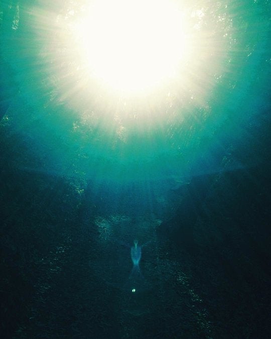 Angelic Light Hologram in the Woods