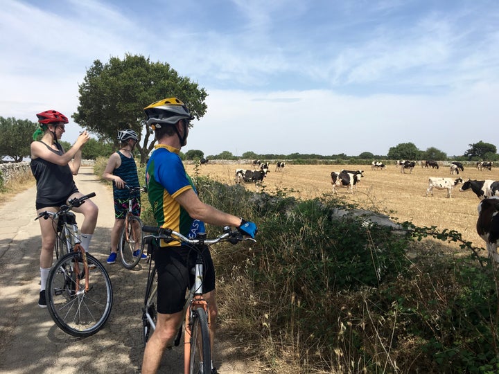 Taking in the Puglian countryside