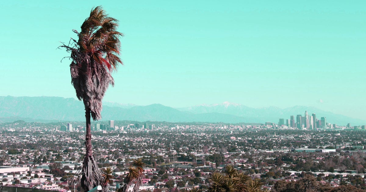 Women Write Los Angeles: Nine Great Novels About LA, By Women This Time