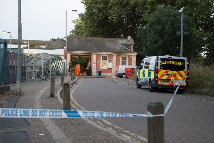 A Gatwick Express passenger died after he was struck by another train while leaning out of the window