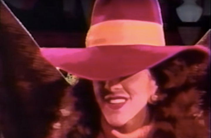 Carmen Sandiego as the leader of V.I.L.E., i.e., "Villains' International League of Evil."