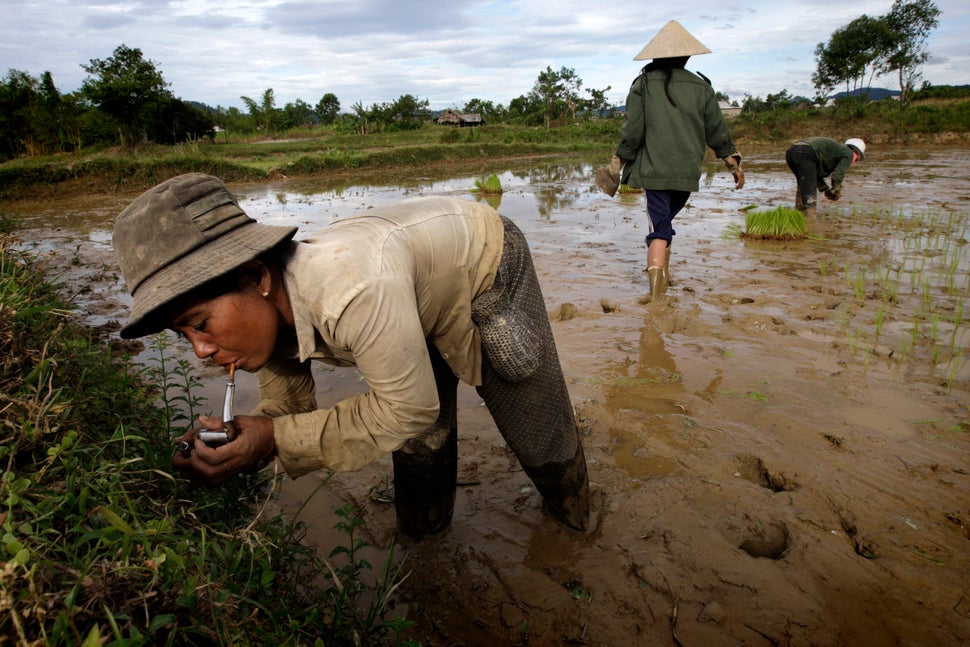 Farmers plant rice near a "hot spot" located on a former airstrip of a U.S. Special Forces base on June 28, 2009, in Luoi, Vi